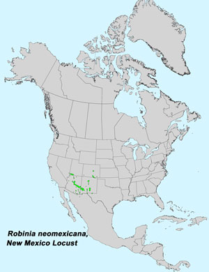 North America species range map for New Mexico Locust, Robinia neomexicana:
